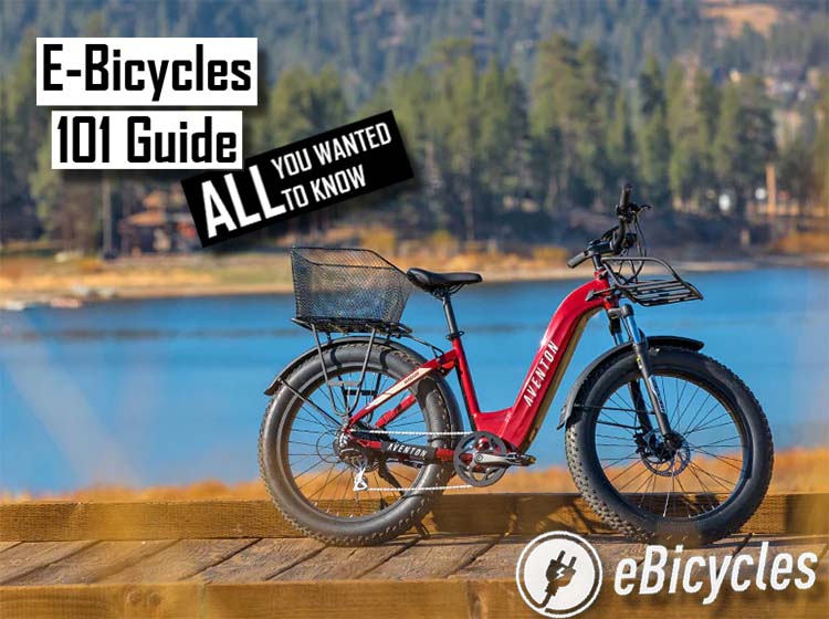 complete electric bike guide